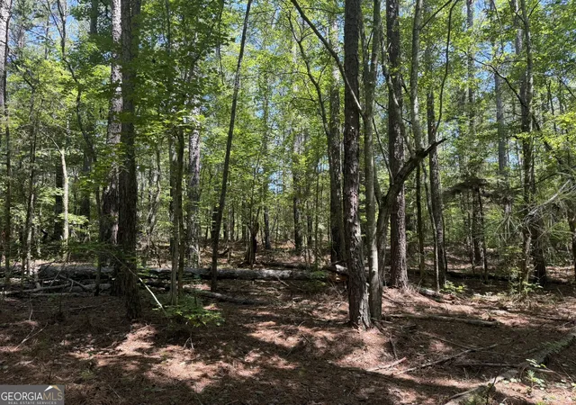 Photo 2 of Land for sale at 0 Ruckersville Rd, Elberton, GA 30635 | MLS# 10812311 | Listing updated on 2026-08-07