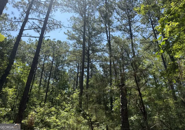 Photo 3 of Land for sale at 0 Ruckersville Rd, Elberton, GA 30635 | MLS# 10812311 | Listing updated on 2026-08-07