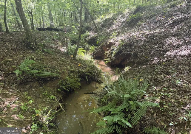 Photo 3 of Land for sale at 0 Ruckersville Rd, Elberton, GA 30635 | MLS# 10812311 | Listing updated on 2026-08-07