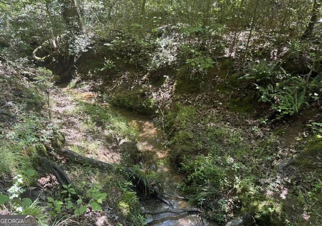 Photo 4 of Land for sale at 0 Ruckersville Rd, Elberton, GA 30635 | MLS# 10812311 | Listing updated on 2026-08-07