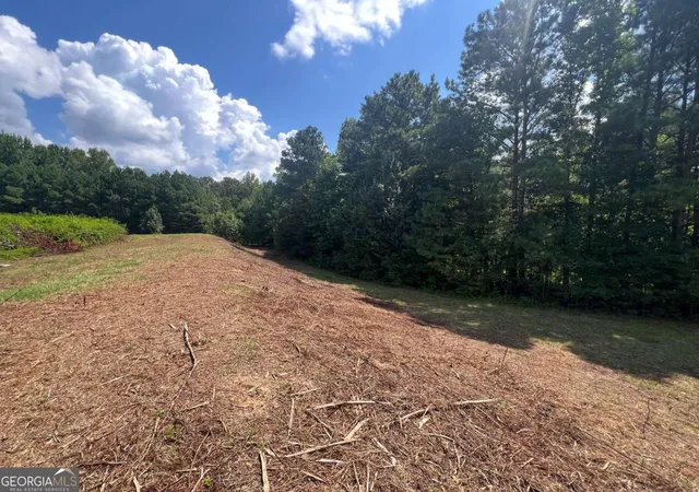 Photo 4 of Land for sale at 6997 N Baggett Rd, Douglasville, GA 30134 | MLS# 10826402 | Listing updated on 2026-08-28