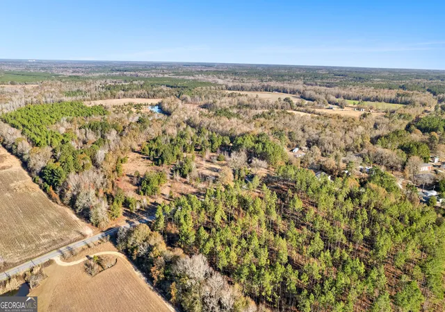Agriculture at 0 Mark Wood Rd, Dexter, GA 31019 | MLS# 10431442 | | Sold on 2025-04-23