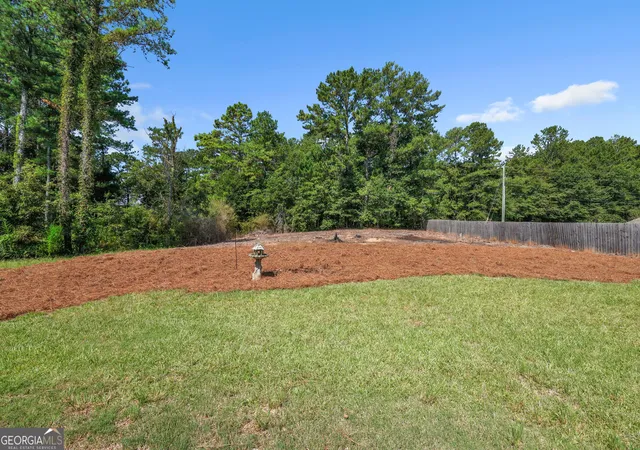 54th image of 1019 Preserve Ln, Bethlehem, GA 30620 | MLS# 10832335