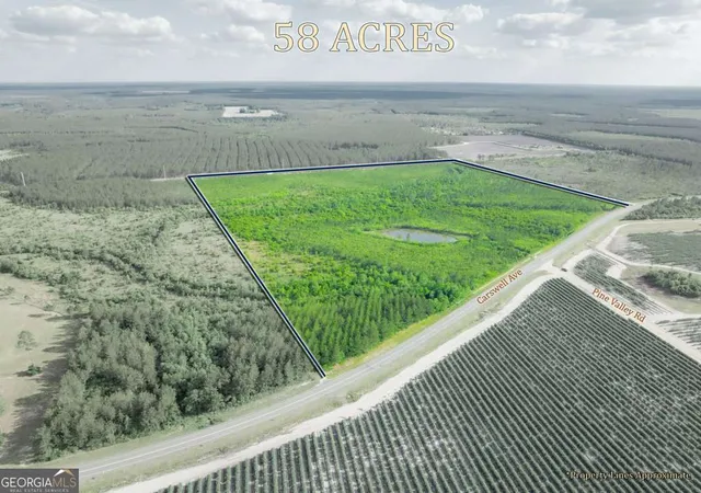 Land for sale at 0 Carswell Ave, Waycross, GA 31501 | MLS# 10760504