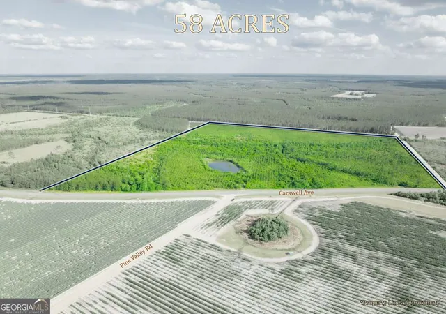 Photo 2 of Land for sale at 0 Carswell Ave, Waycross, GA 31501 | MLS# 10760504 | Listing updated on 2026-05-22