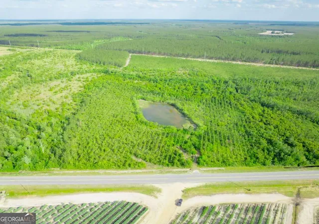 Photo 3 of Land for sale at 0 Carswell Ave, Waycross, GA 31501 | MLS# 10760504 | Listing updated on 2026-05-22