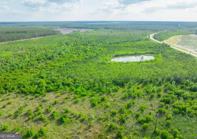 Photo 3 of Land for sale at 0 Carswell Ave, Waycross, GA 31501 | MLS# 10760504 | Listing updated on 2026-05-22