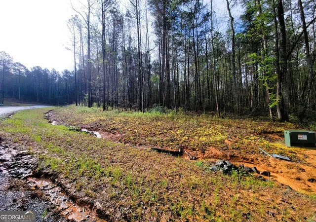 22nd image of 22 Mountaingate Wy, Ellijay, GA 30536 | MLS# 10738970