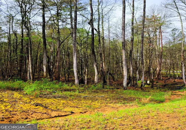 2nd image of 22 Mountaingate Wy, Ellijay, GA 30536 | MLS# 10738970