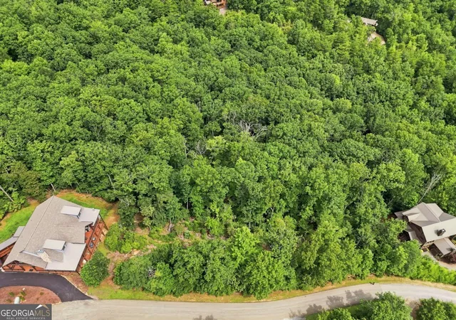 Photo 2 of Land for sale at 0 Deer Crest Rd #22, Blue Ridge, GA 30513 | MLS# 10825125 | Listing updated on 2026-08-27