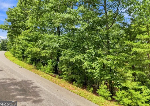 Photo 3 of Land for sale at 0 Deer Crest Rd #22, Blue Ridge, GA 30513 | MLS# 10825125 | Listing updated on 2026-08-27