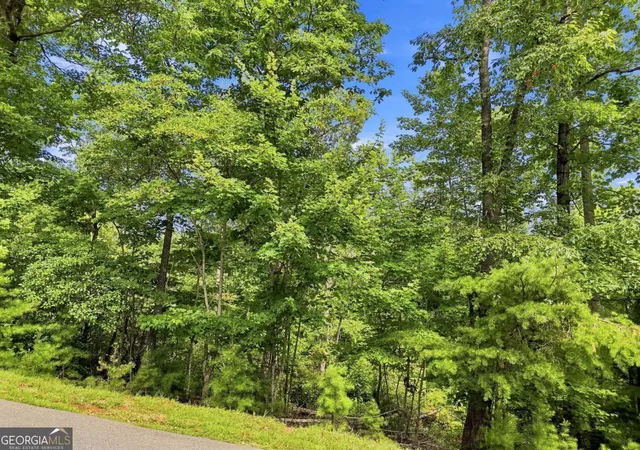 Photo 3 of Land for sale at 0 Deer Crest Rd #22, Blue Ridge, GA 30513 | MLS# 10825125 | Listing updated on 2026-08-27