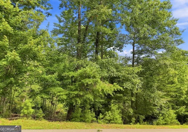 Photo 4 of Land for sale at 0 Deer Crest Rd #22, Blue Ridge, GA 30513 | MLS# 10825125 | Listing updated on 2026-08-27