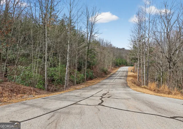31st image of 252 S Laceola Rd, Cleveland, GA 30528 | MLS# 10708218