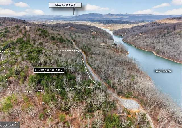 4th image of 252 S Laceola Rd, Cleveland, GA 30528 | MLS# 10708218