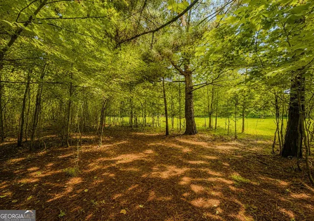 5th image of 7E Lake Nottely Dr #7E, Blairsville, GA 30512 | MLS# 10812195