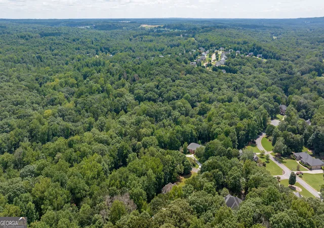86th image of 1406 Lull Water Ct, Hoschton, GA 30548 | MLS# 10780177
