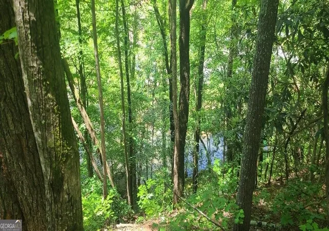 2nd image of 0 Ber Weg, Helen, GA 30545 | MLS# 10605993