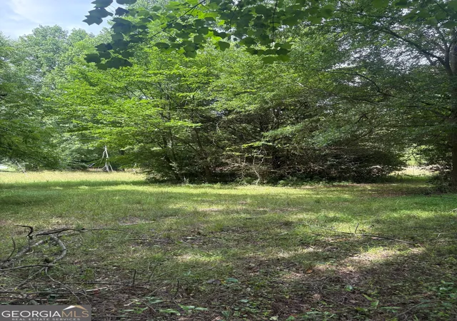 2nd image of 00 M L King Jr Dr, Jefferson, GA 30549 | MLS# 10791283