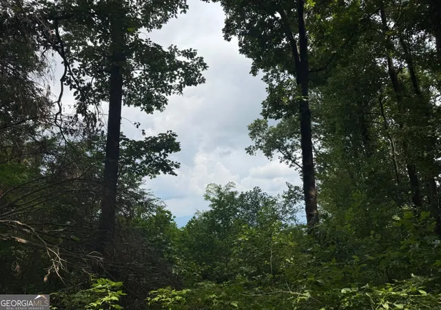 Photo 1 of Land for sale at 18 S Acres Pineypur Rd #TR24, Ellijay, GA 30540 | MLS# 10592873 | Listing updated on 2026-01-20