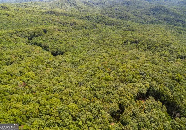 Photo 3 of Land for sale at 18 S Acres Pineypur Rd #TR24, Ellijay, GA 30540 | MLS# 10592873 | Listing updated on 2026-01-20