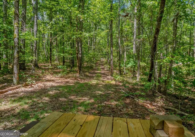 Photo 3 of Land for sale at 18 S Acres Pineypur Rd #TR24, Ellijay, GA 30540 | MLS# 10592873 | Listing updated on 2026-01-20