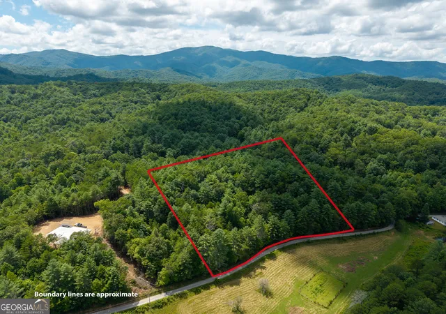 1st image of 0 White Pine Road, Mccaysville, GA 30555 | MLS# 10813159