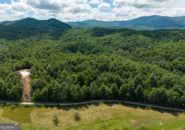 2nd image of 0 White Pine Road, Mccaysville, GA 30555 | MLS# 10813159