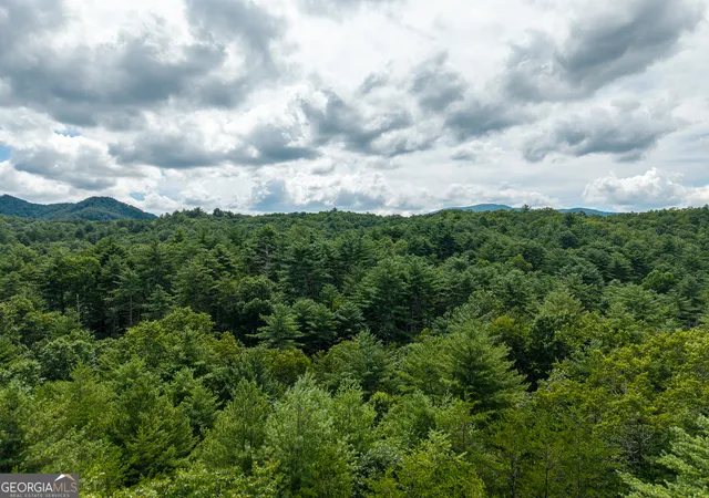 32nd image of 0 White Pine Road, Mccaysville, GA 30555 | MLS# 10813159