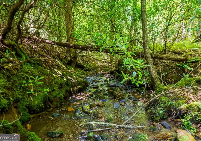 Photo 3 of Land for sale at 0 White Pine Rd, Mccaysville, GA 30555 | MLS# 10813159 | Listing updated on 2026-08-10
