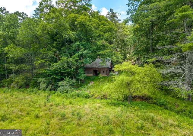 Photo 4 of Land for sale at 0 White Pine Rd, Mccaysville, GA 30555 | MLS# 10813159 | Listing updated on 2026-08-10