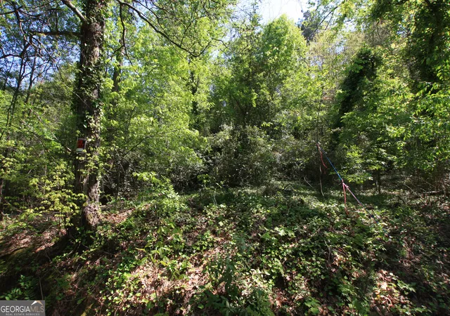 5th image of 0 Glover St, Rome, GA 30161 | MLS# 10717579