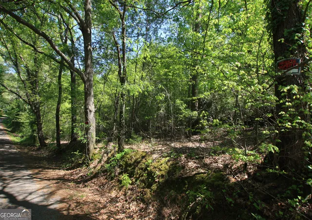 7th image of 0 Glover St, Rome, GA 30161 | MLS# 10717579