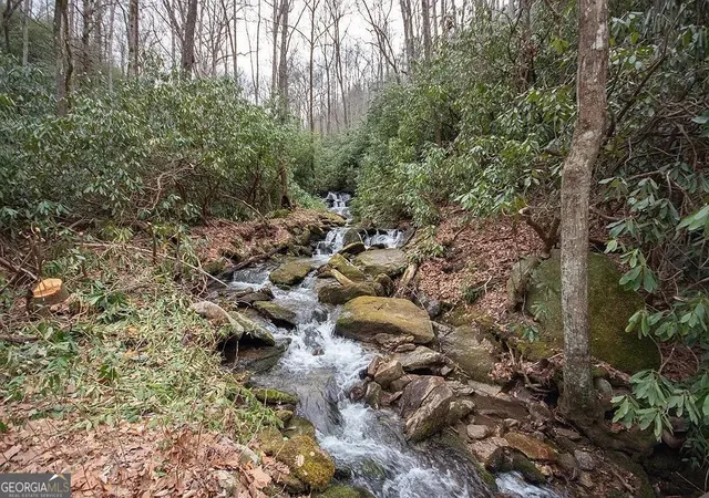 Photo 2 of Single family home for sale at 575 Carolina Springs Ln, Franklin, NC 28734 | MLS# 10773591 | Listing updated on 2026-06-11