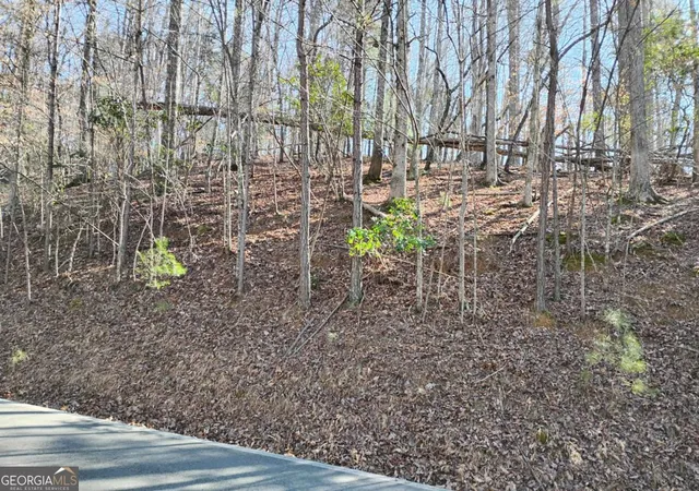 Photo 2 of Land for sale at Lt 2090r Newport Dr #2090R, Ellijay, GA 30540 | MLS# 10674836 | Listing updated on 2026-05-10