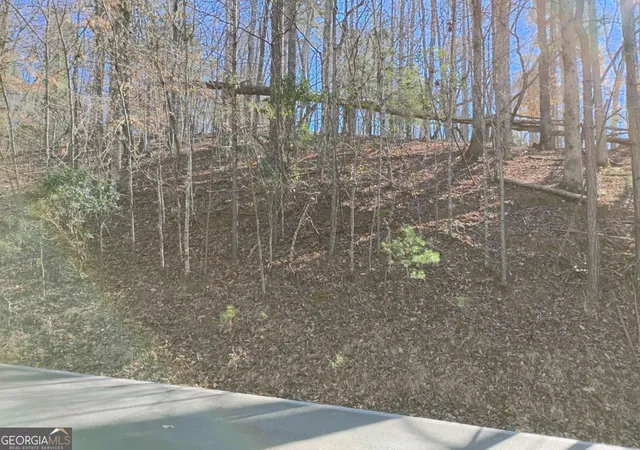 Photo 3 of Land for sale at Lt 2090r Newport Dr #2090R, Ellijay, GA 30540 | MLS# 10674836 | Listing updated on 2026-05-10