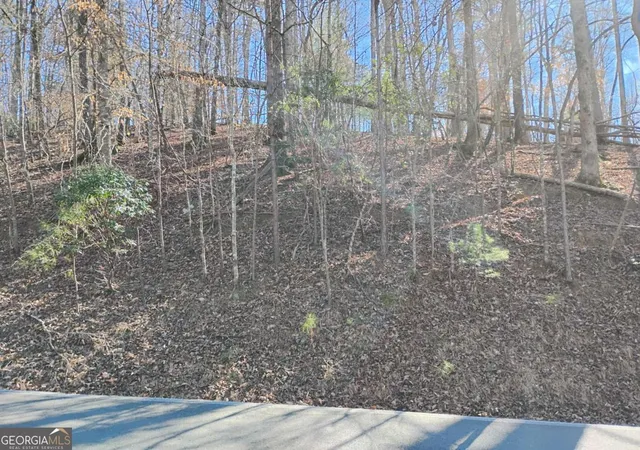 Photo 4 of Land for sale at Lt 2090r Newport Dr #2090R, Ellijay, GA 30540 | MLS# 10674836 | Listing updated on 2026-05-10