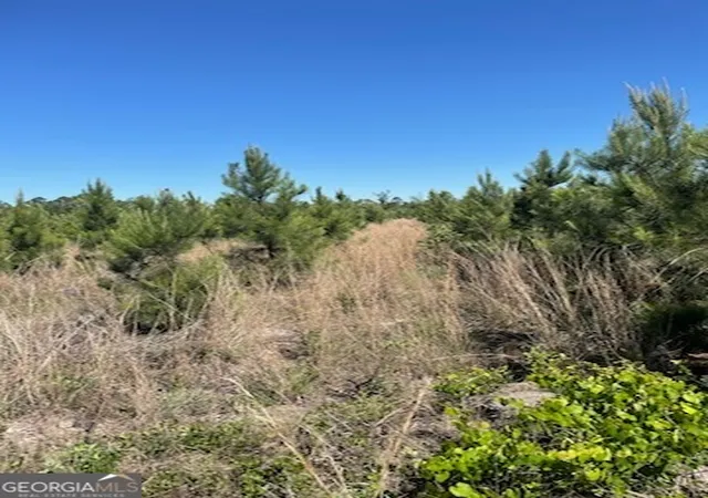 3rd image of 00 Abbeville Hwy, Eastman, GA 31023 | MLS# 10788703