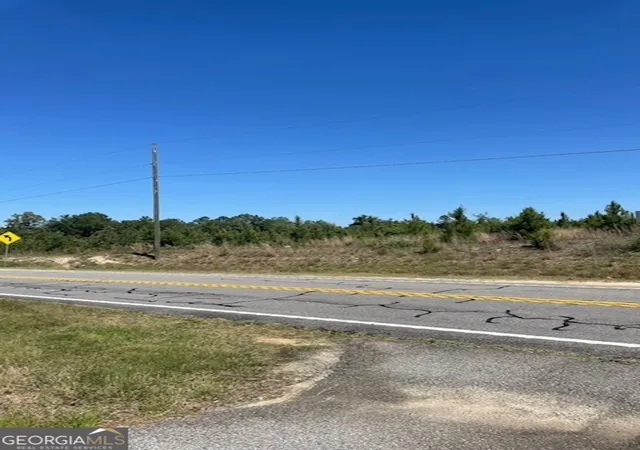 4th image of 00 Abbeville Hwy, Eastman, GA 31023 | MLS# 10788703