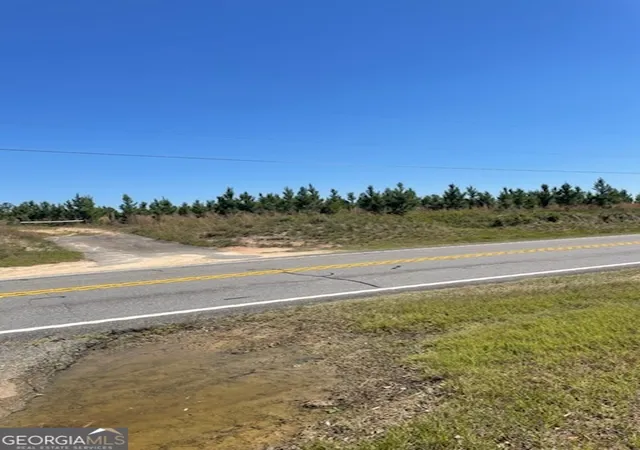 5th image of 00 Abbeville Hwy, Eastman, GA 31023 | MLS# 10788703