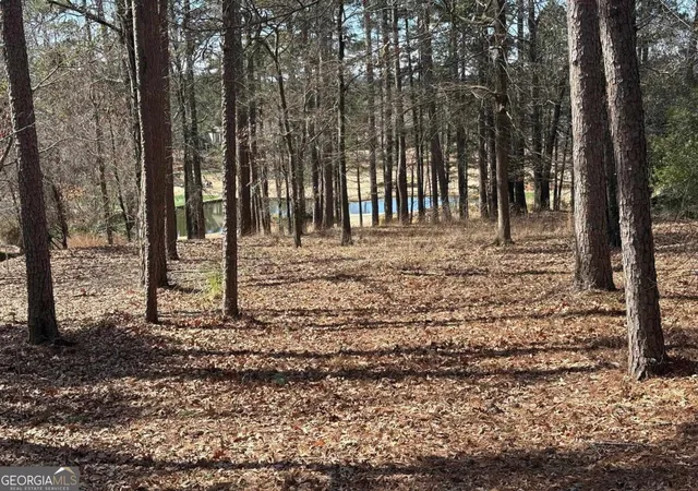 4th image of 1191 Lake View Ct, Greensboro, GA 30642 | MLS# 10762767