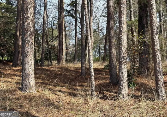 5th image of 1191 Lake View Ct, Greensboro, GA 30642 | MLS# 10762767