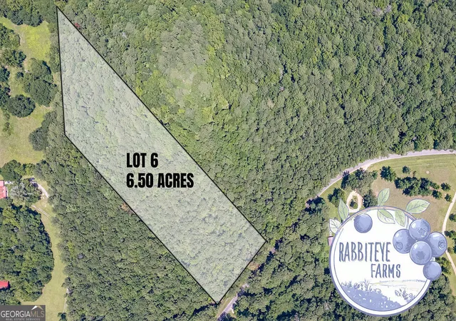 Photo 2 of Land for sale at Lot 6 Haynes Rd, Moreland, GA 30259 | MLS# 10804442 | Listing updated on 2026-08-03