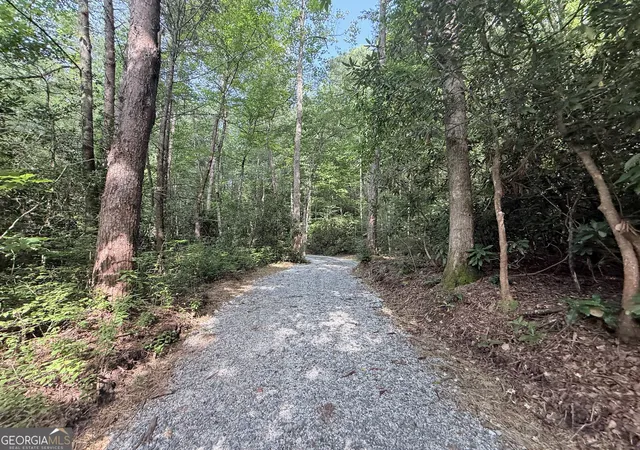 30th image of 0 Hwy 76 W, Clayton, GA 30525 | MLS# 10798600