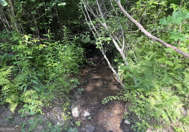 Photo 4 of Land for sale at 0 Highway 76 W, Clayton, GA 30525 | MLS# 10798600 | Listing updated on 2026-07-17