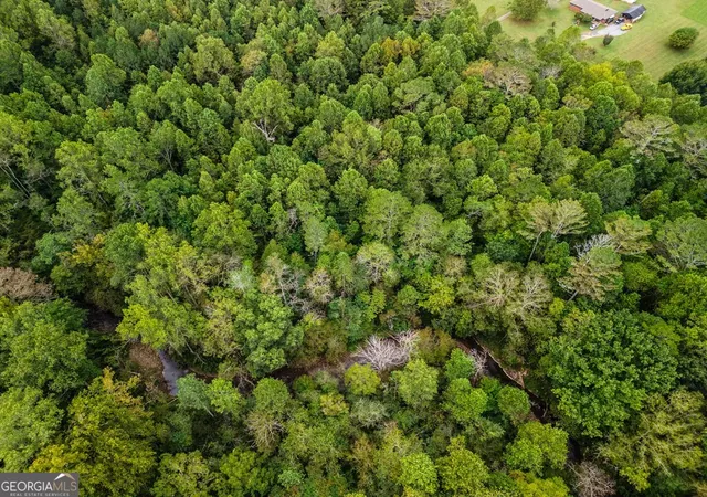 9th image of 311ac Old Northcutt, Ellijay, GA 30540 | MLS# 10621008