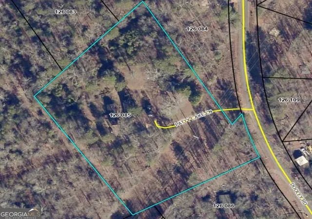 Homes for sale in Clarkesville, GA | 110 Patty Cake Ln, Clarkesville, GA 30523 | MLS# 10790348
