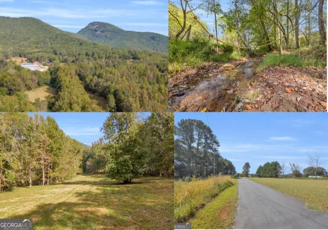 1st image of 0 Turner Road, Cleveland, GA 30528 | MLS# 10809736