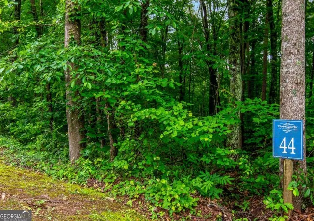 Homes for sale in Ellijay, GA | Lot 44 Harris Creek Dr #44, Ellijay, GA 30540 | MLS# 10678073