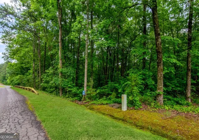 Homes for sale in Ellijay, GA | Lot 44 Harris Creek Dr #44, Ellijay, GA 30540 | MLS# 10678073